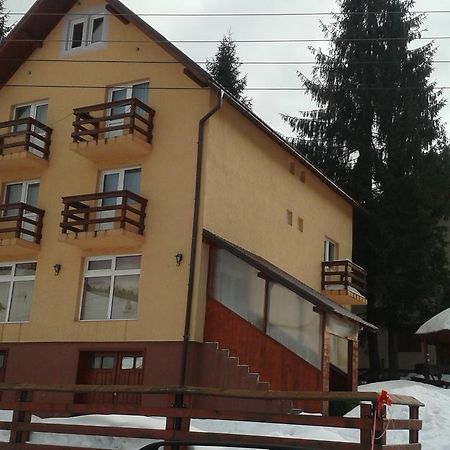 ホテル Casa Andreea-Maria ブルトプ エクステリア 写真