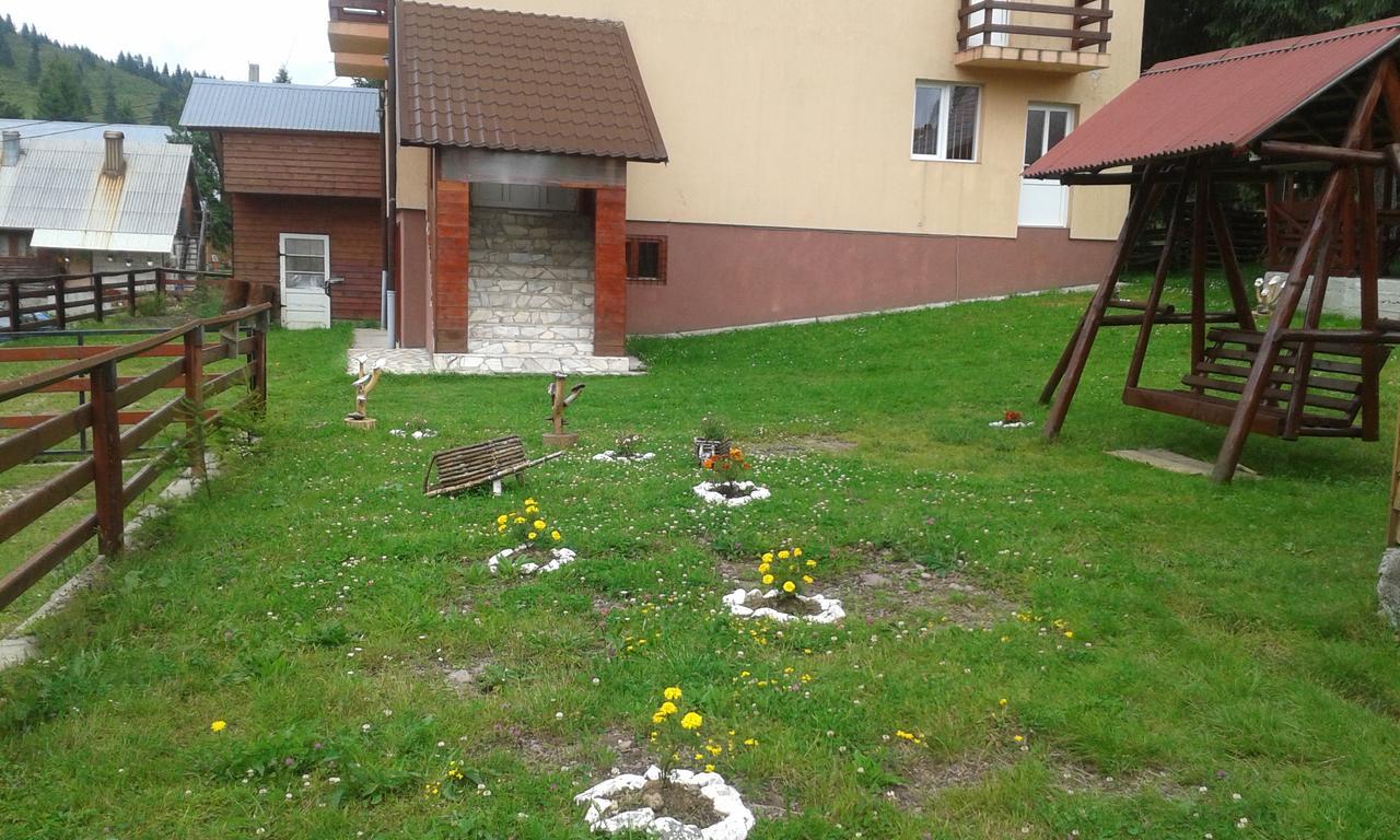 ホテル Casa Andreea-Maria ブルトプ エクステリア 写真
