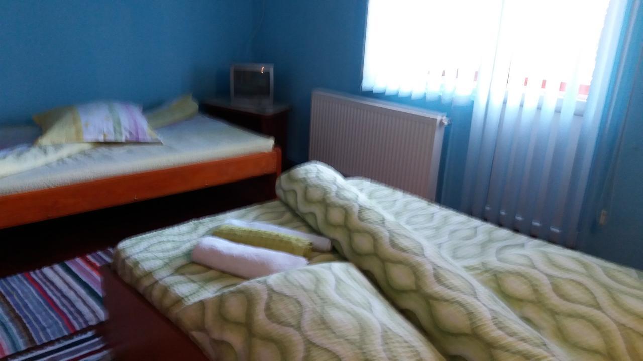 ホテル Casa Andreea-Maria ブルトプ エクステリア 写真