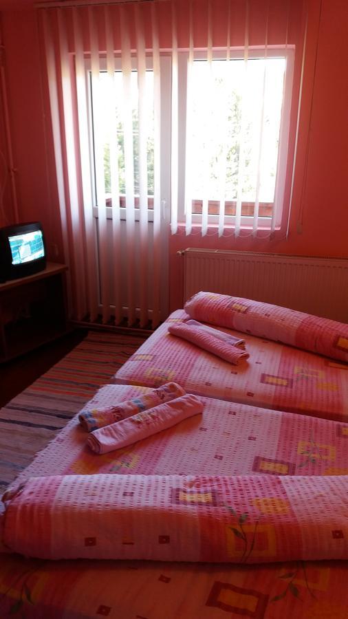 ホテル Casa Andreea-Maria ブルトプ エクステリア 写真