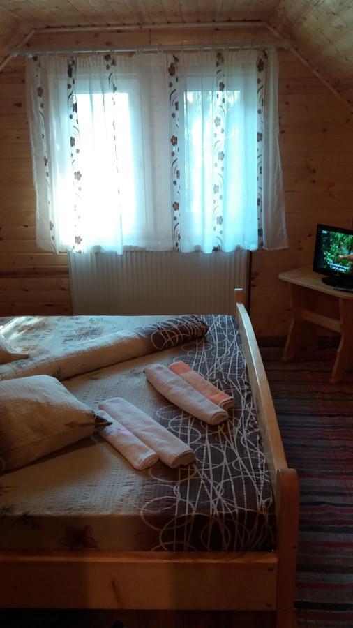 ホテル Casa Andreea-Maria ブルトプ エクステリア 写真