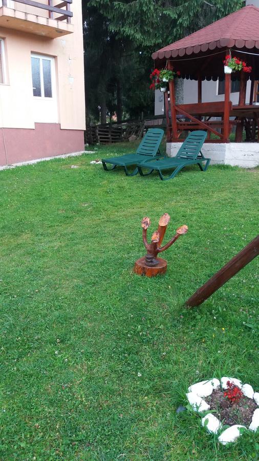 ホテル Casa Andreea-Maria ブルトプ エクステリア 写真